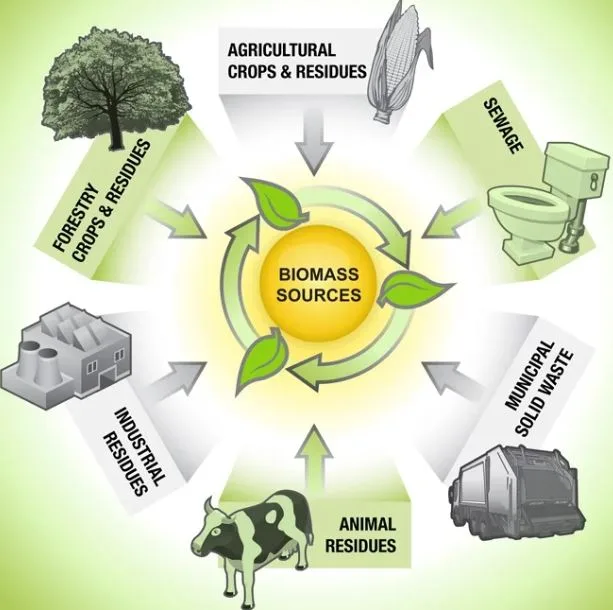 Biomass Energy