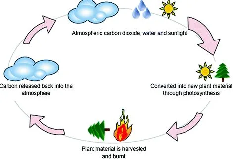 Converting Biomass To Energy