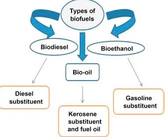 Types Of Biofuels
