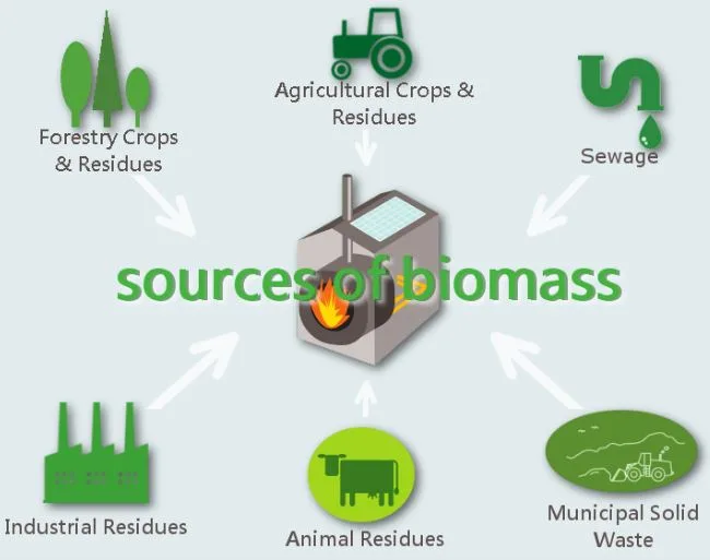 What Is Biomass Energy